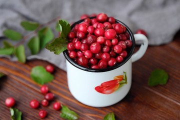 Fresh red cranberries with leaves on the table 