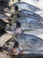 Delicious fresh fish on ice in the market 