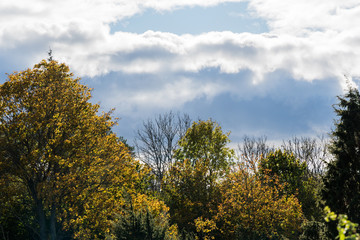 Fototapeta na wymiar Fall season with dark clouds