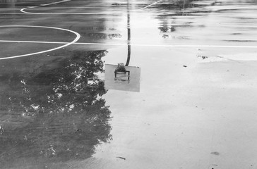Basketball court after rain. Basketball half-court line. Outdoor court wet with rain. Court with reflective water. Tree and sun reflection on water. Abstract art. Minimal design. Abstract design. - 177201144