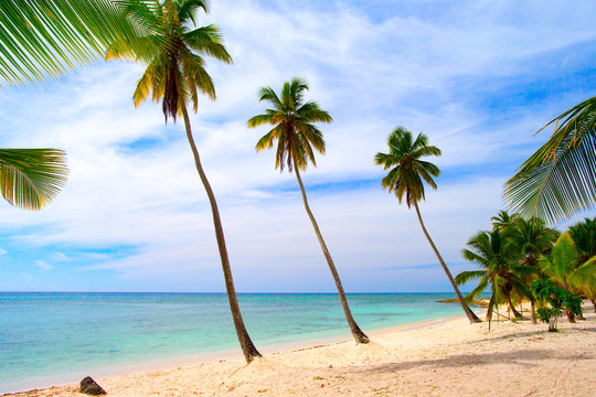Dominican beach © Viktor