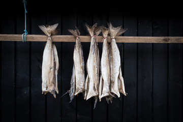 poisson séché pêche pêcheur artisan nourriture village île féroé faroe island