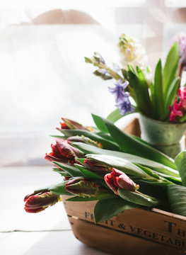 A light and breezy image of spring flowers indoors.