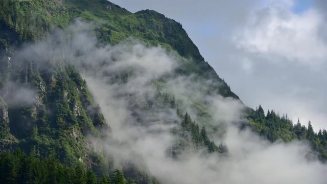Juneau, Alaska: low cloud fog or mist on top of mountain top and tree with wind blowing