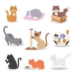 Funny cartoon cats characters different breeds illustration. Kitty young pet - 177208382