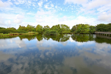 Scenic view of Wakodahatchee Wetlands Park, located in Delray Beach, Florida. The park was created on 50 acres of unused utility land and is now part of the Great Florida Birding Trail.