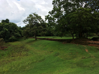 Ancient ruins in a forest with monkeys walking on the wall