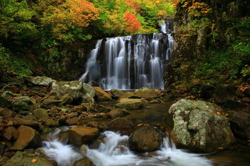 紅葉の立又渓谷　二の滝