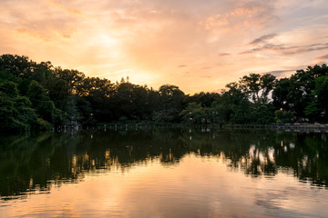 東京　善福寺池の夕焼け