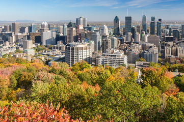 Fototapeta premium Montreal Skyline with Autumn colours from Mont Royal Kondiaronk Belvedere (2017)