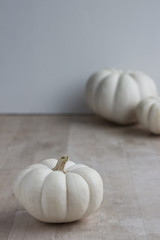 White Mini Pumpkins