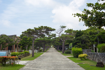 平和祈念公園　沖縄