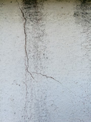 Obraz premium Concrete wall texture background