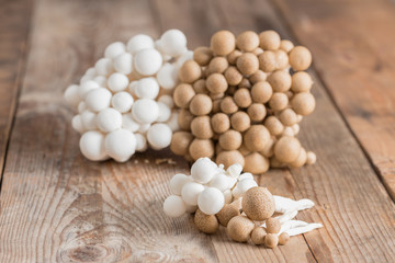 Shimeji mushrooms brown and white varieties.