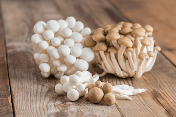 Shimeji mushrooms brown and white varieties.