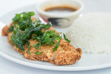 Thai food, Fried chicken with basil crispy and rice. Selective focus.