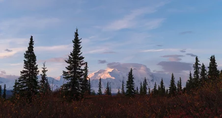 Türaufkleber Wald im Nebel Montieren. Denali