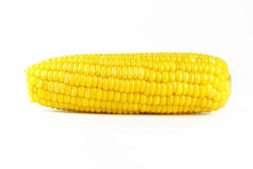 yellow sweet corn isolated on white background