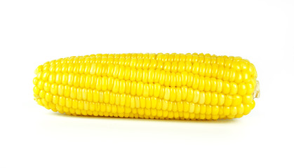 yellow sweet corn isolated on white background