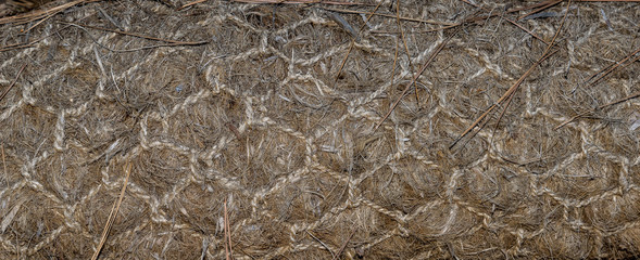 Fototapeta na wymiar Pine straw roll