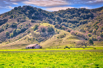 A wood barn in an open grassland on a farm in the hills of Northern California