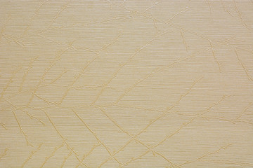 light brown leather texture . Useful as background for design-works.