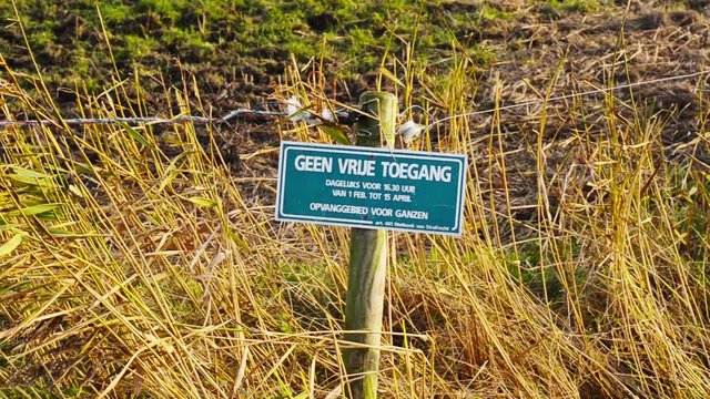 geese protection sign no entrance  farmland