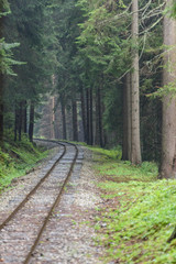 Obraz premium wavy railroad tracks in wet summer day in forest
