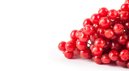 Red rowan on wood desk