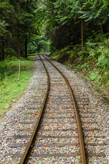 Obraz premium wavy railroad tracks in wet summer day in forest