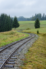 wavy railroad tracks in wet summer day in forest