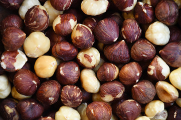 close up of hazelnut for background