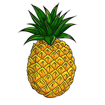 Illustration of Pineapple -Vector Illustration