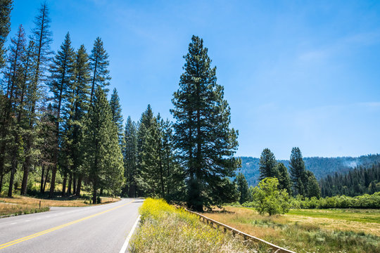 Highway through the summer scenic Yosemite Park, California