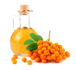 Rowan with green leaf and rowan oil in glass jug isolated on white background