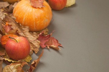 Pumpkins and apples with orange and red autumn leaves on gray background, copy space