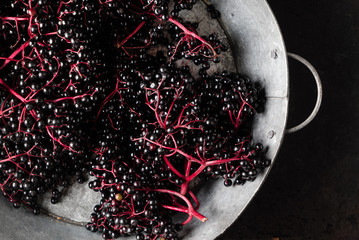 fresh elderberries