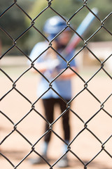 Softball fence