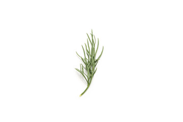 Piece of Fresh Dill Isolated on White Background