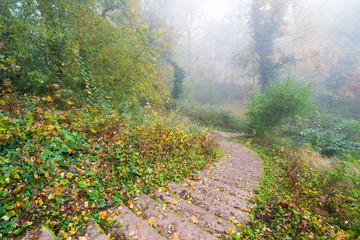 Treppe abwärts in einem Park an einem Morgen mit Nebel im Herbst