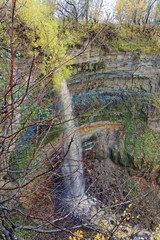 Autumn view in the park