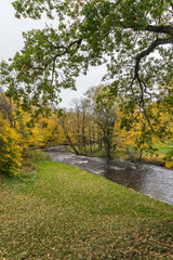 Obraz premium Autumn view in the park