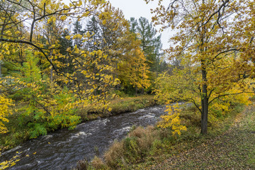 Autumn view in the park