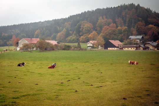 Austria Farm