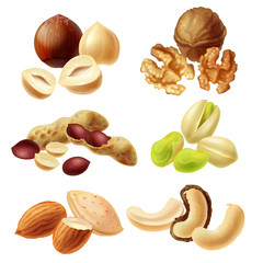 Set of different peeled and with peel nuts realistic vector illustrations isolated on white background. Full and cracked hazelnut, walnut kernel halves, peanuts, pistachio, almond, dried cashew nuts