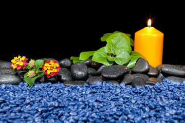 Beautiful spa composition on a black background