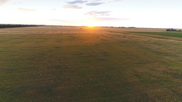 Aerial survey of wheaten golden field at sunset