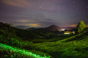 Cameron Highlands-Malaysia-November-2017-Beautiful view of the tea plantation at night