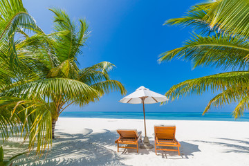 Perfect beach view. Summer holiday and vacation design. Inspirational tropical beach, palm trees and white sand. Tranquil scenery, relaxing beach, tropical landscape design. Moody landscape