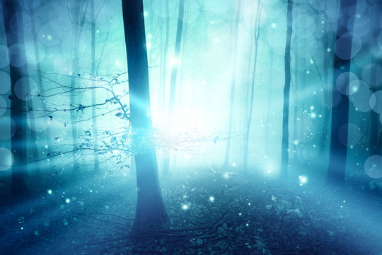 Fototapeta Magic blue foggy forest with ray of light bokeh background. Color filter effect used.